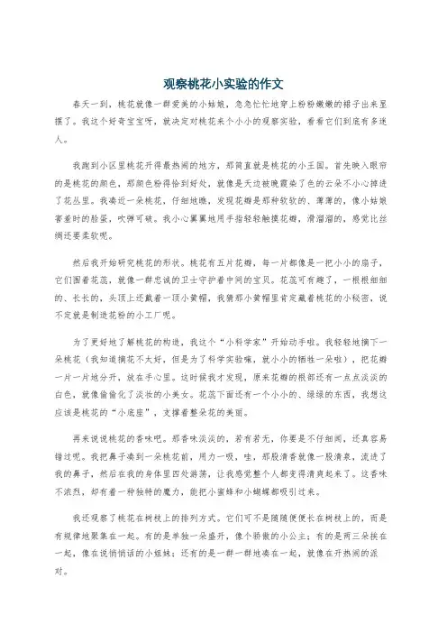 观察桃花小实验的作文