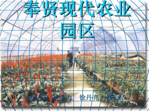 奉贤现代农业园区