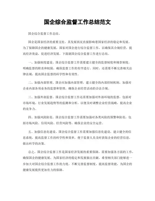 国企综合监督工作总结范文
