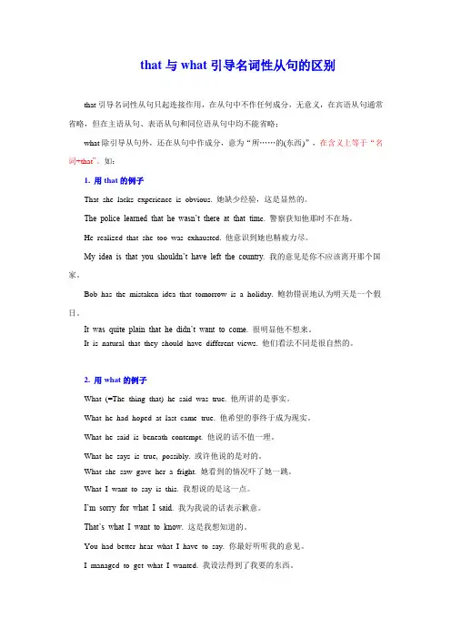 that与what引导名词性从句的区别