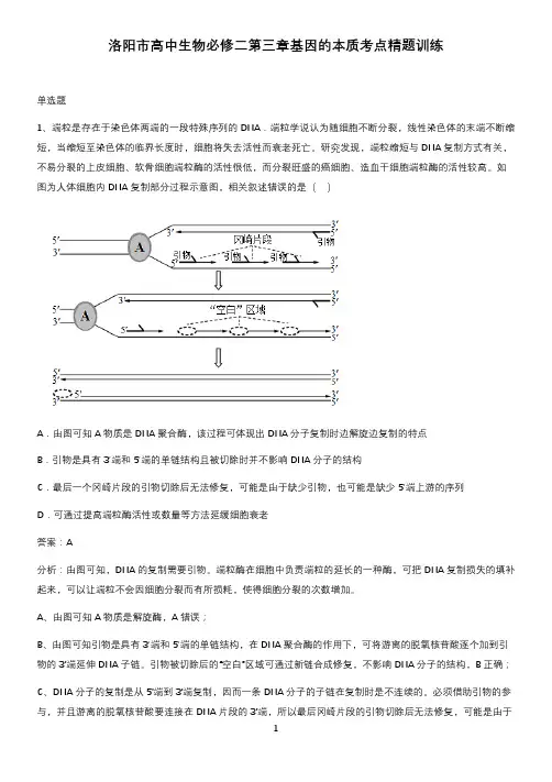 洛阳市高中生物必修二第三章基因的本质考点精题训练