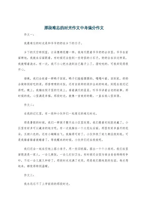 那段难忘的时光作文中考满分作文