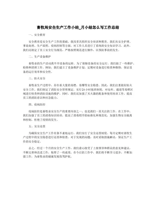 畜牧局安全生产工作小结_月小结怎么写工作总结