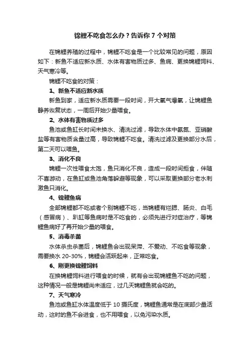 锦鲤不吃食怎么办？告诉你7个对策