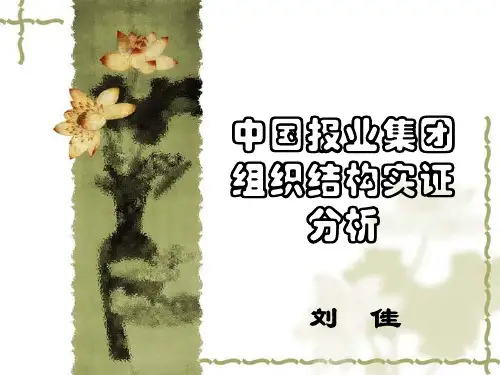 中国报业集团组织结构实证分析