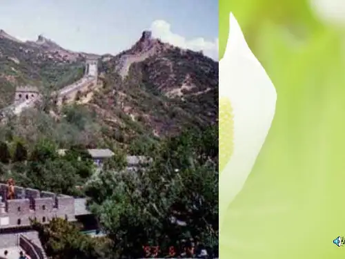 举世闻名的古代工程PPT教学课件
