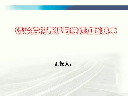 桥梁结构养护与维修加固技术PPT培训课件