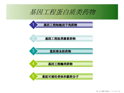 基因工程蛋白质类药物