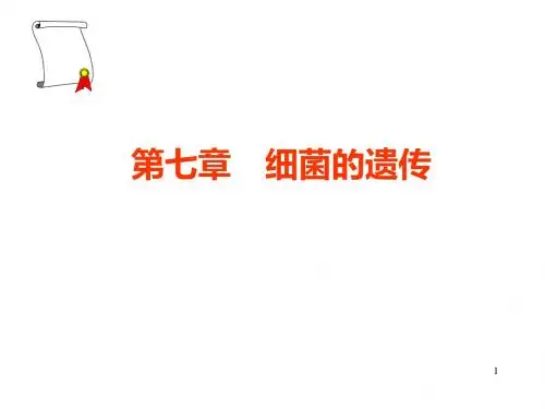 第七章细菌的遗传