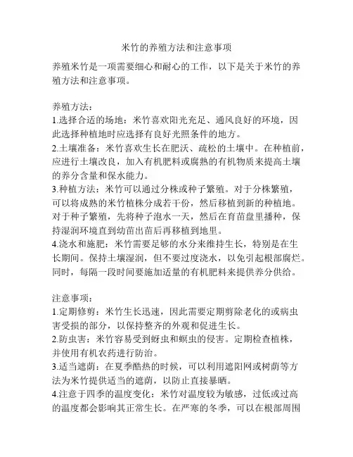 米竹的养殖方法和注意事项