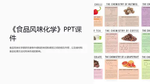 《食品风味化学》课件