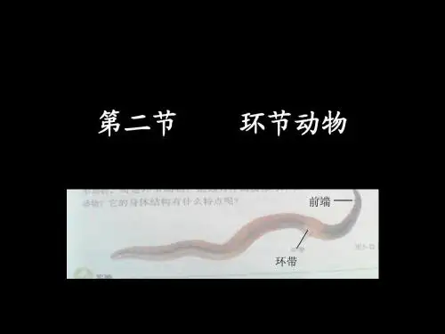 生物Microsoft PowerPoint 演示文稿