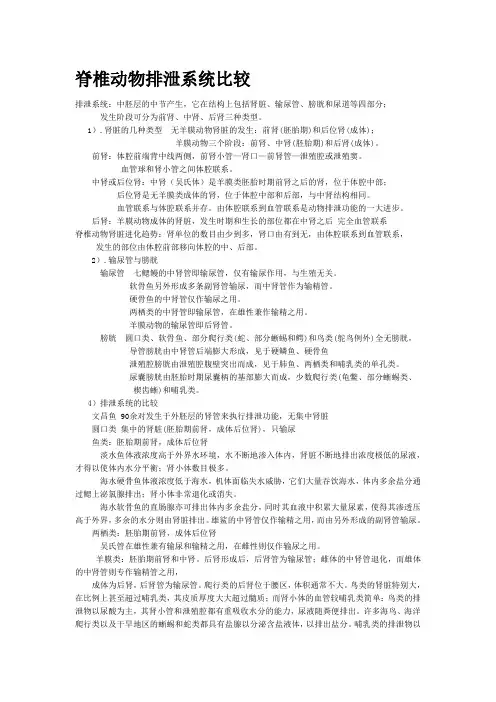 脊椎动物排泄系统比较