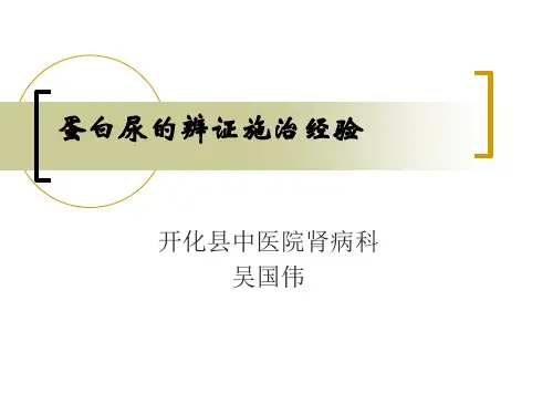 蛋白尿的辨证施治经验