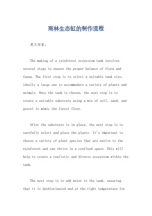 雨林生态缸的制作流程