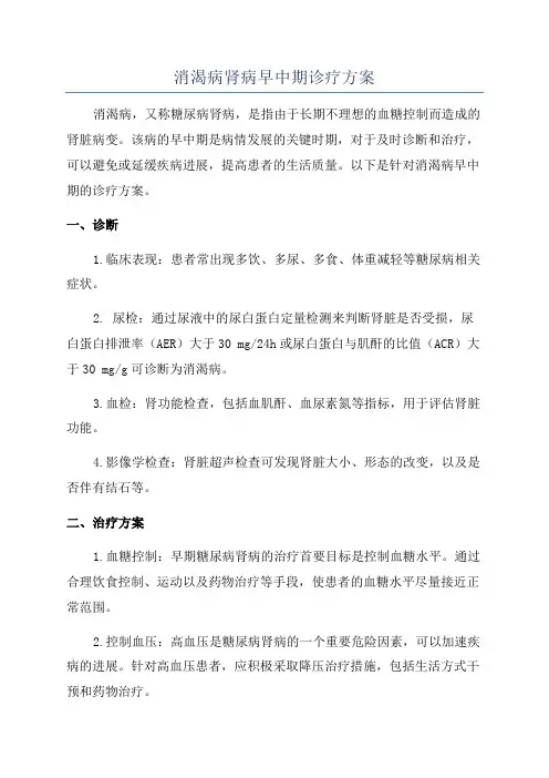 消渴病肾病早中期诊疗方案