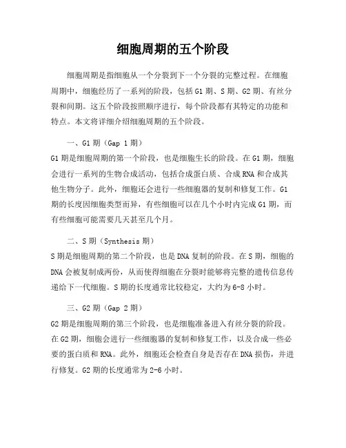 细胞周期的五个阶段