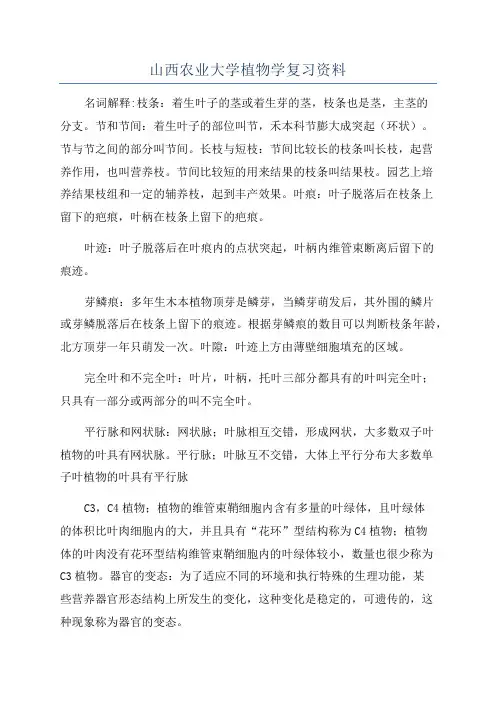 山西农业大学植物学复习资料