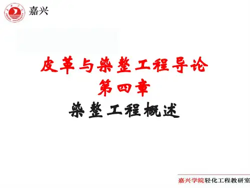轻化工程导论--染整工程概述  ppt课件