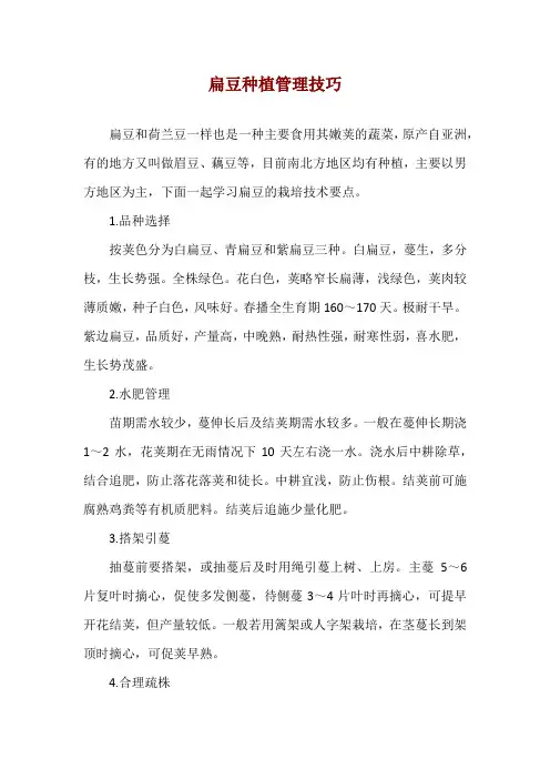 扁豆种植管理技巧