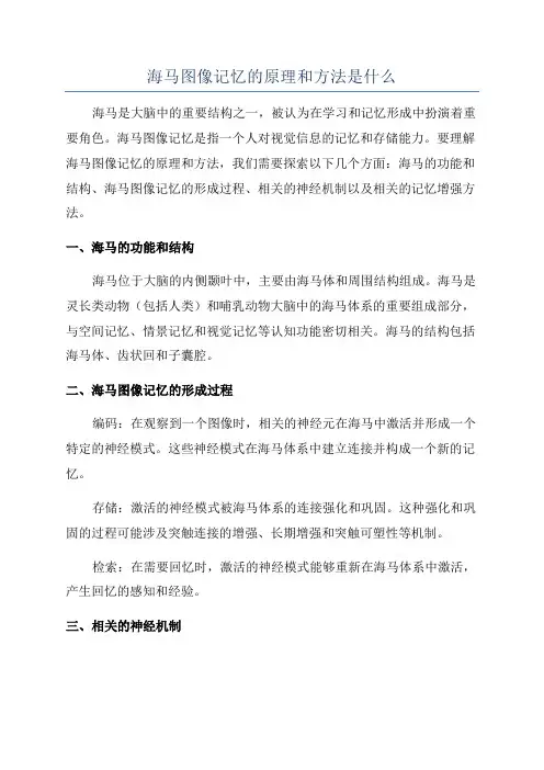 海马图像记忆的原理和方法是什么