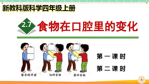 新教科版科学四年级上册《食物在口腔里的变化》优质课件