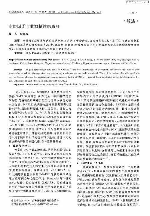 脂肪因子与非酒精性脂肪肝