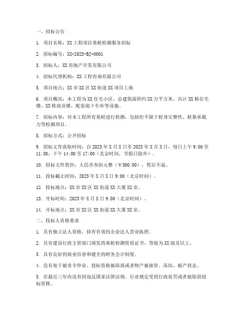 基桩检测招标文件范本