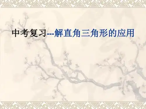 中考复习之解直角三角形的应用