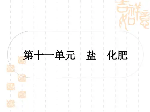 中考化学精炼本 第一部分 考点过关练 1第十一单元 盐 化肥
