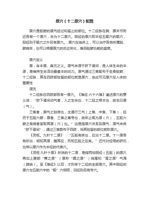 原穴（十二原穴）配图