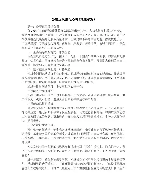 公安正风肃纪心得(精选多篇)