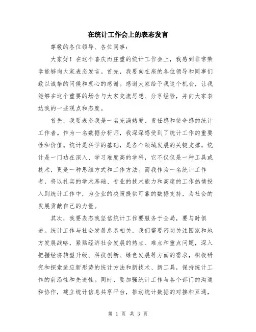在统计工作会上的表态发言