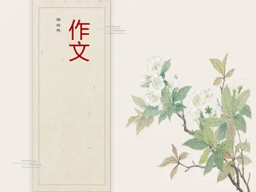 六年级读后感作文指导
