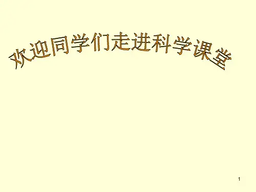 最新教科版四年级科学各种各样的岩石ppt课件
