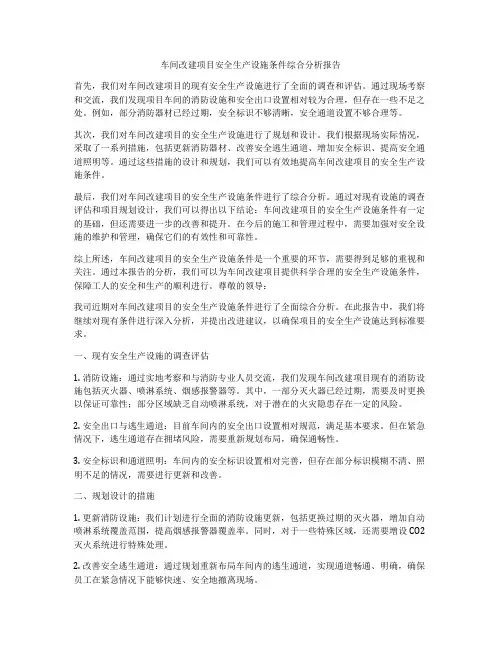 车间改建项目安全生产设施条件综合分析报告