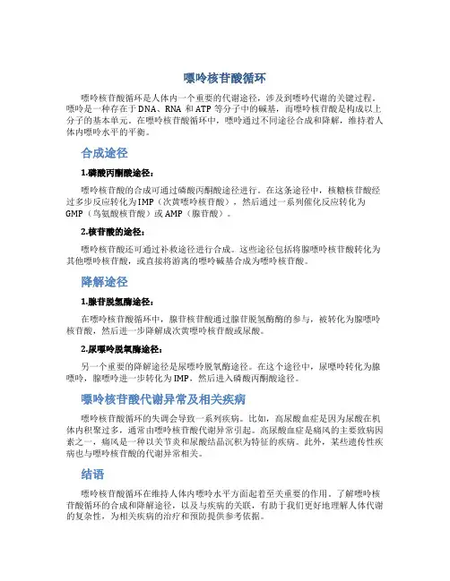 嘌呤核苷酸循环
