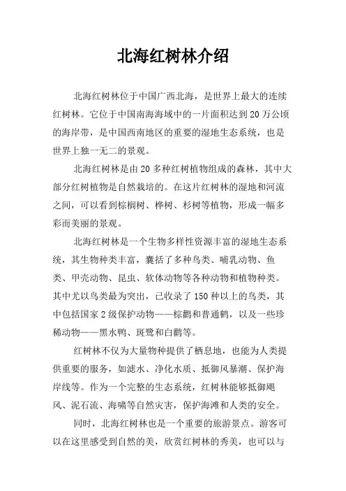 北海红树林介绍