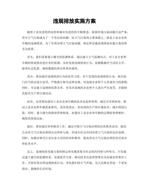 违规排放实施方案
