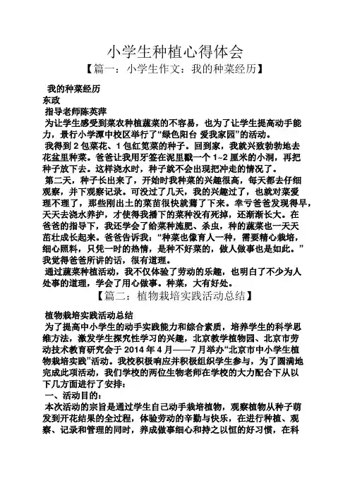 六年级作文之小学生种植心得体会