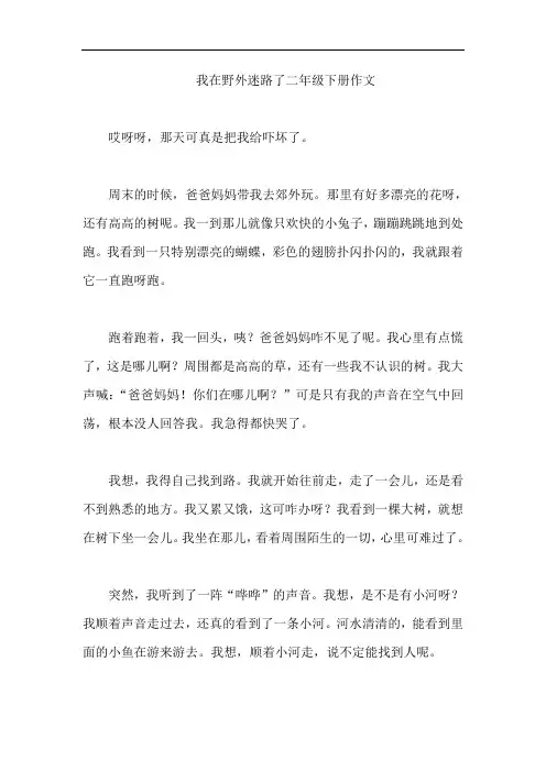 我在野外迷路了二年级下册作文