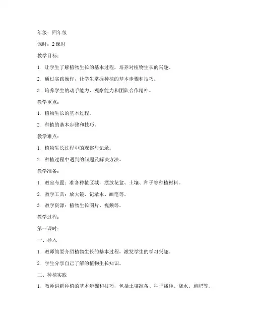 种植综合实践教案模板范文