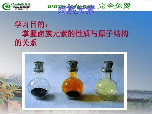 《高一化学卤族元素》PPT课件