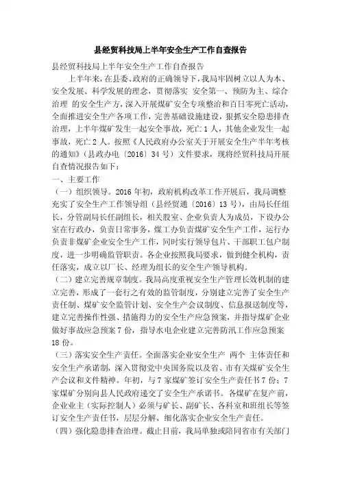 县经贸科技局上半年安全生产工作自查报告（精简篇）