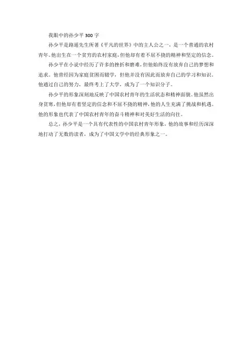 我眼中的孙少平300字