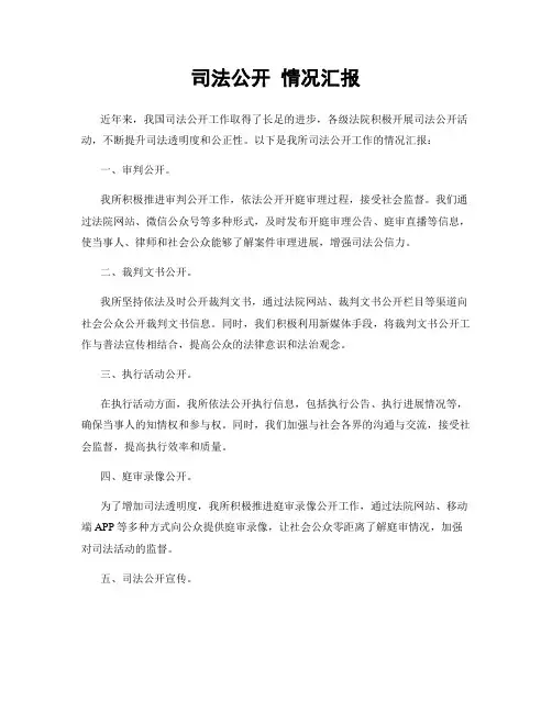 司法公开 情况汇报