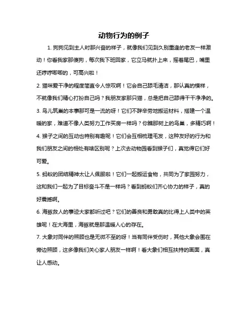 动物行为的例子