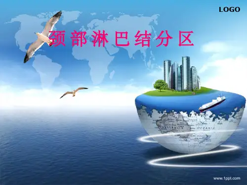 颈部淋巴结引流