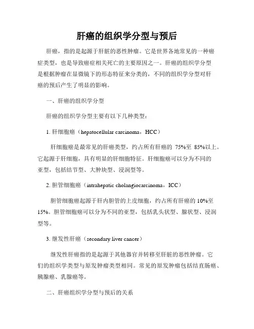肝癌的组织学分型与预后