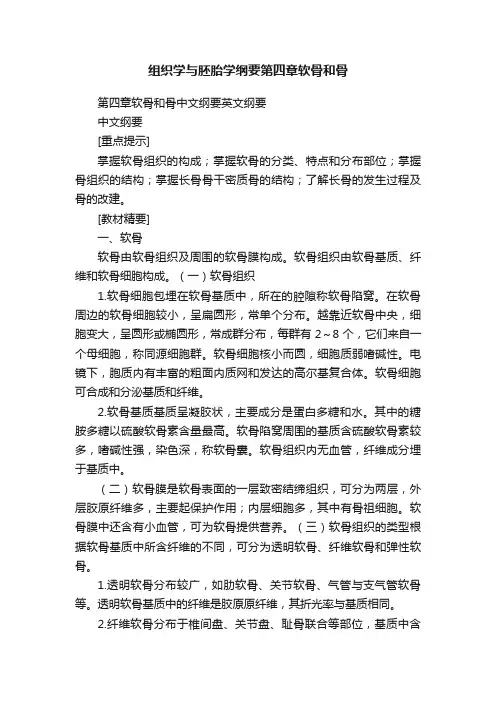 组织学与胚胎学纲要第四章软骨和骨